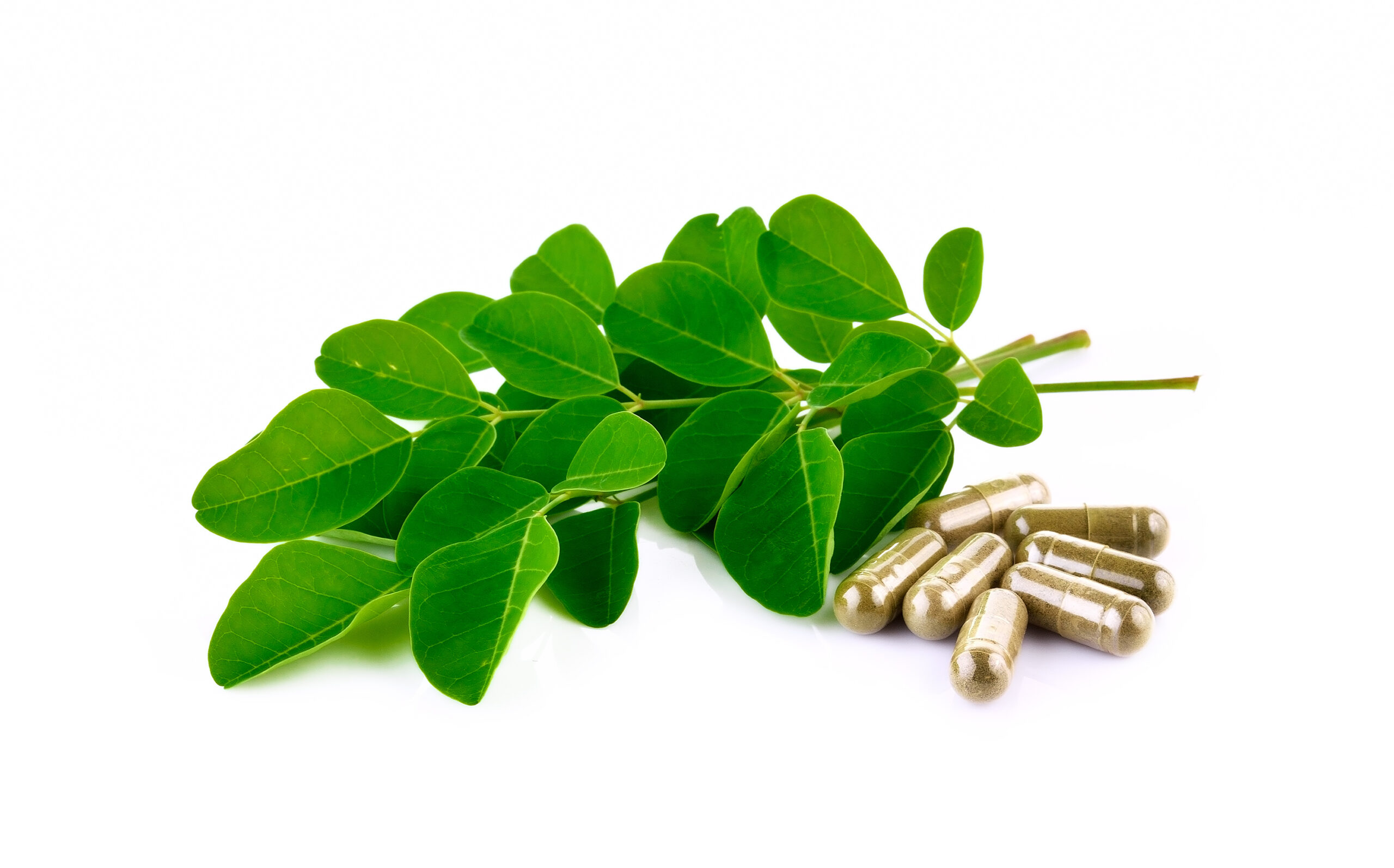 Moringa